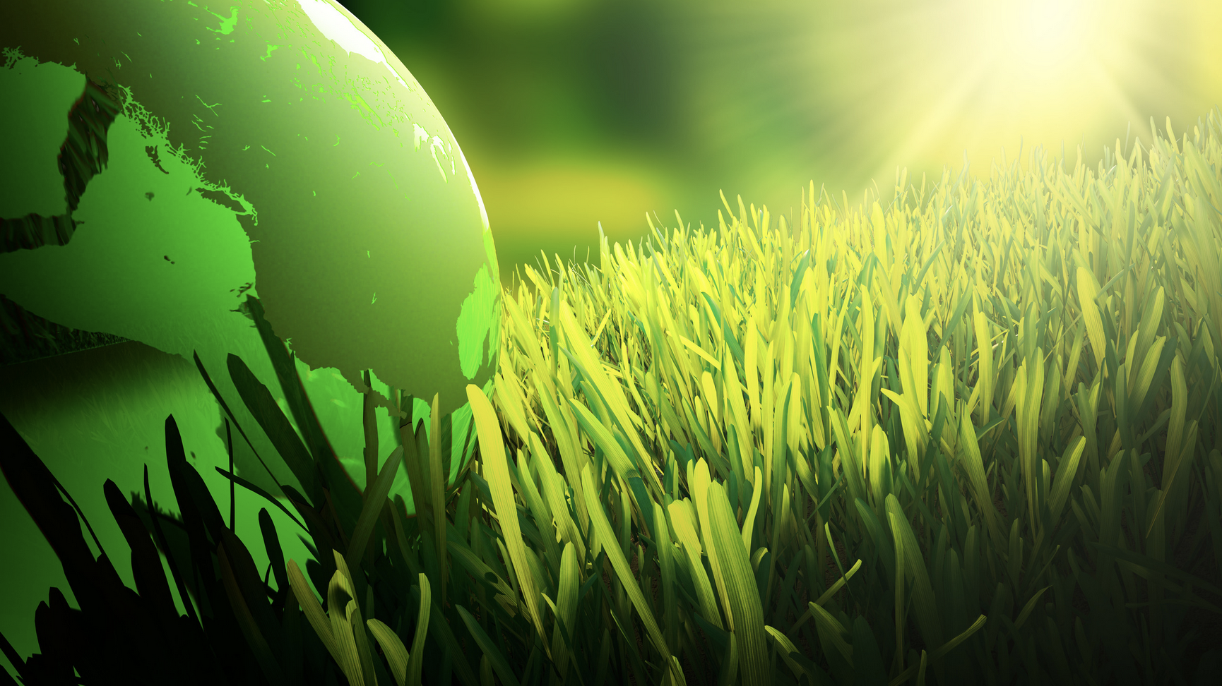 greenwashme